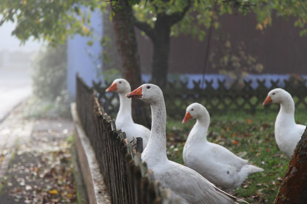 Luisenhof Otel Geisfeld  Dış mekan fotoğraf