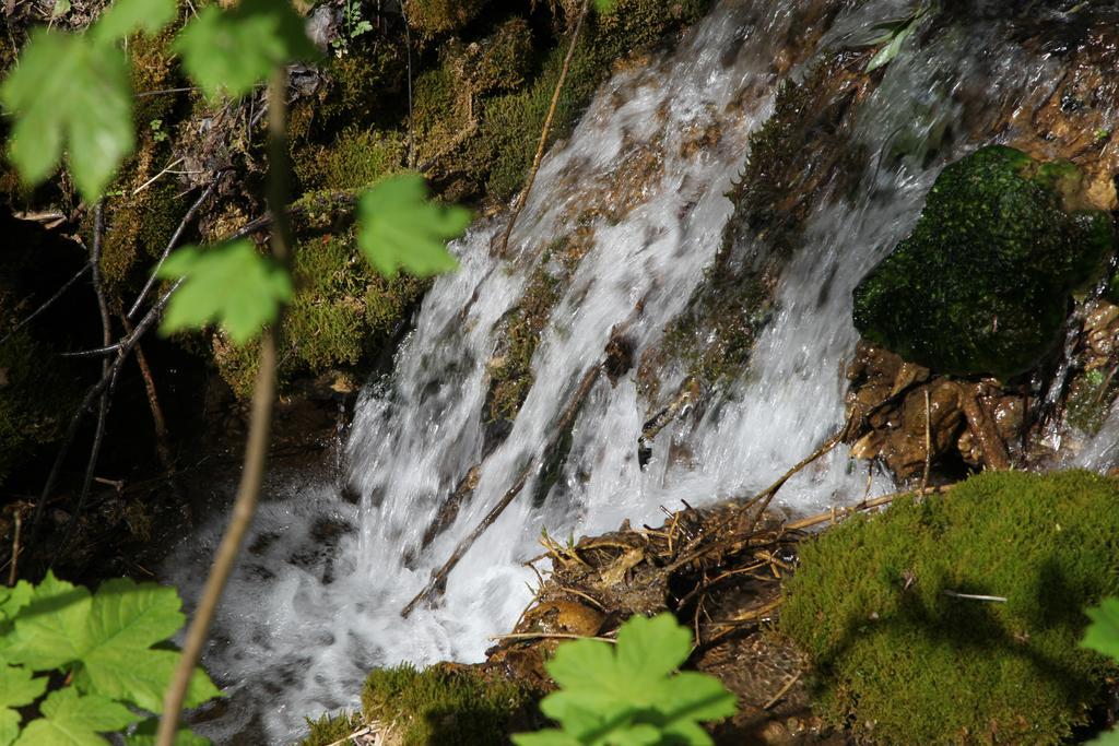 Luisenhof Otel Geisfeld  Dış mekan fotoğraf
