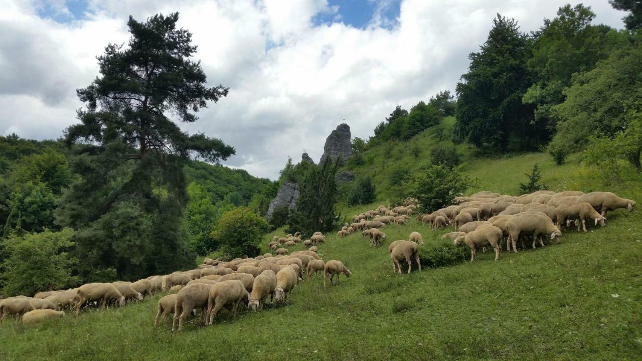Luisenhof Otel Geisfeld  Dış mekan fotoğraf