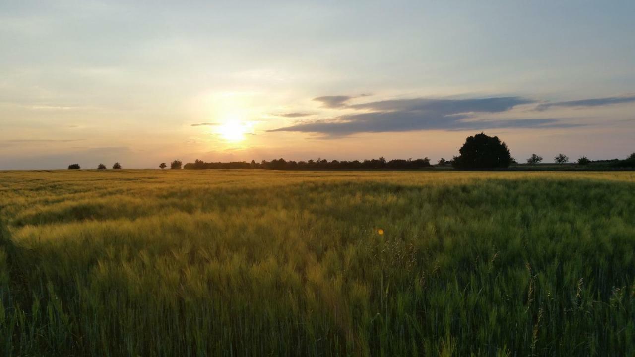 Luisenhof Otel Geisfeld  Dış mekan fotoğraf
